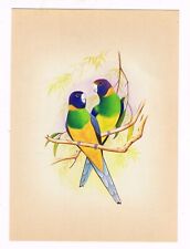 Ara Perroquet Peinture Main