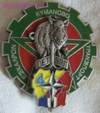 IN22497 - INSIGNE 511° R.T