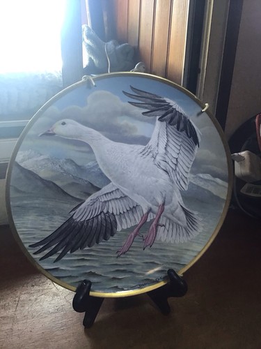 Assiette décorative waterbird - assiette,