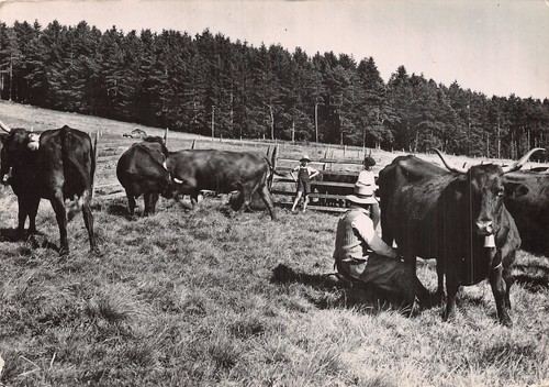 Cauterets traite des - 65, la