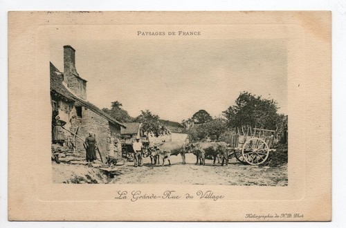 Agriculture campagne vie - agriculture,