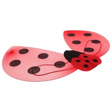  Ailes de coccinelle de