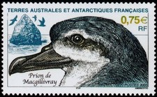 Timbre TAAF 408** neuf sans