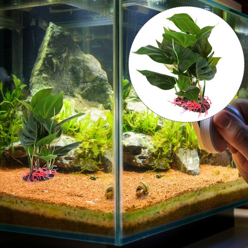 Abri aquarium herbe eau - abri, d'aquarium