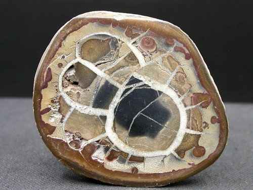 Septaria maroc 5 x - -, 4,7