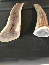 Elk Antler Dog Chew 6-7" Split