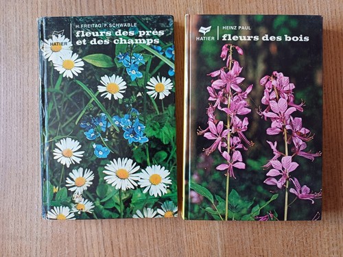 Fleurs des prés - prés, et