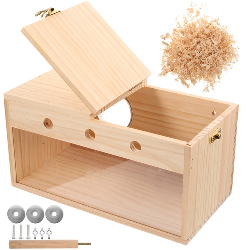 Oiseaux boîte nid - boîte, de