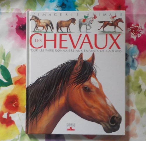 Les chevaux imagerie animale - chevaux, l'imagerie