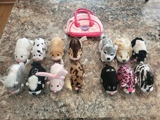 Zhu pet lot - zhu, of