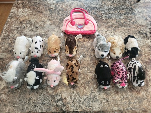 Zhu pet lot - lot, 14.