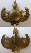 INSIGNE 2 Etoiles NEDEX