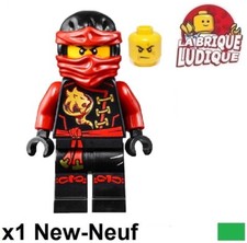 Lego Figurine Minifig Ninjago