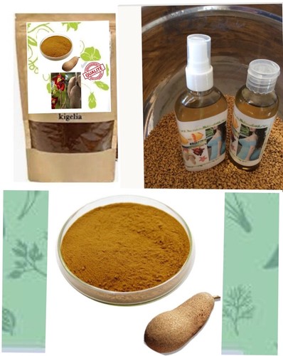 Poudre kigelia africana 200g - kigelia,
