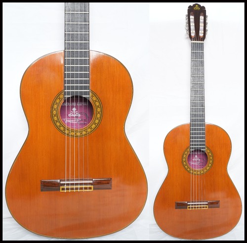 Takeharu guitar - guitar, (suzuki)
