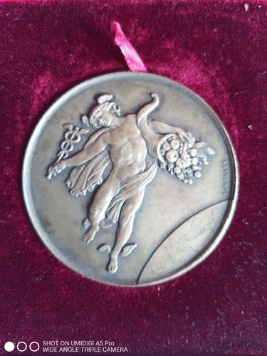 Médaille mercure après - médaille, d'après