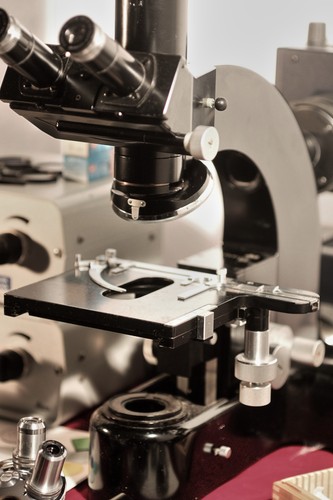 Leitz ortholux microscope with - leitz,