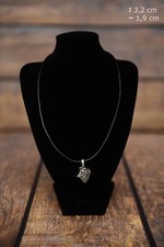 Berger des Shetland -