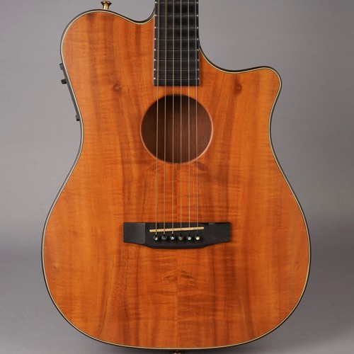 Carvin ac375 acoustic - ac375, acoustic-electric