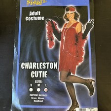 Spirit Women Halloween Costume