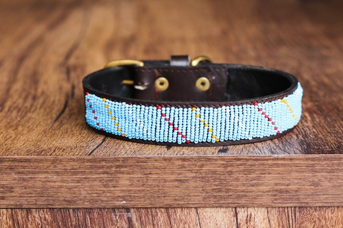 Collier pour chien - en, cuir