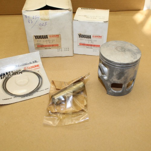Kit piston segments 250 - piston,