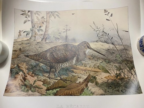 Reproduction gravure la - gravure, « la