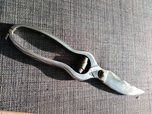 Cisaille volailles secateur - cisaille,