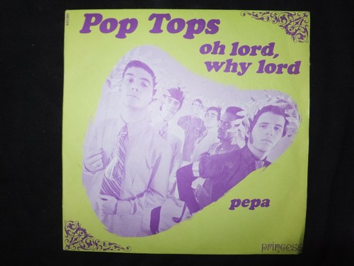 Vinyl tours pop - vinyl,