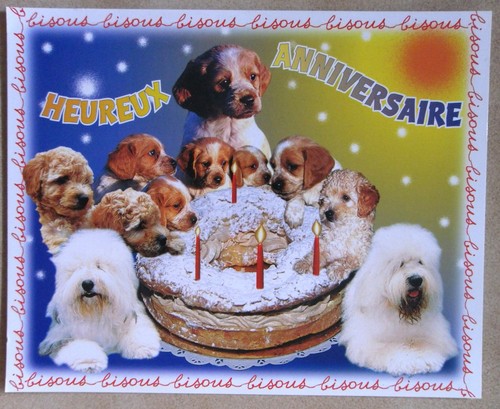 Chiens chiots mini - ,