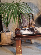 Selle Chameau XX ÈME. Banc Ou Décoration .