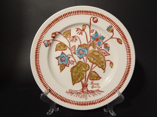Assiette céramique botanique - céramique,