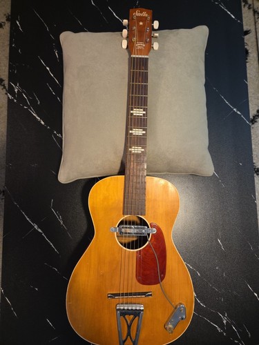Stella acoustic guitar - acoustic,