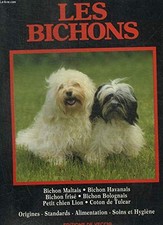 Les Bichons. Bichon Maltais