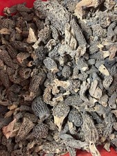 Morilles 1 Kg + 2 Kg Poudre