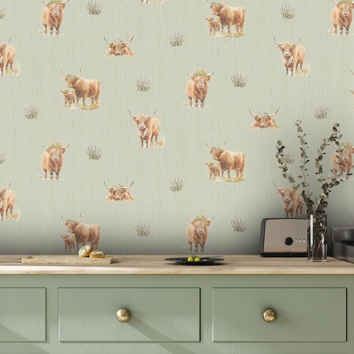 Papier peint highland vaches - highland,