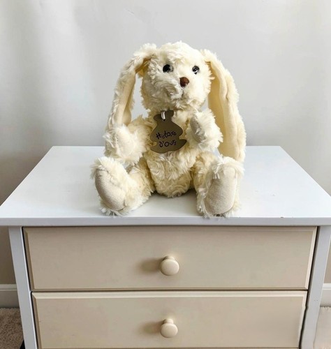 Histoire ours peluche - histoire, lapin