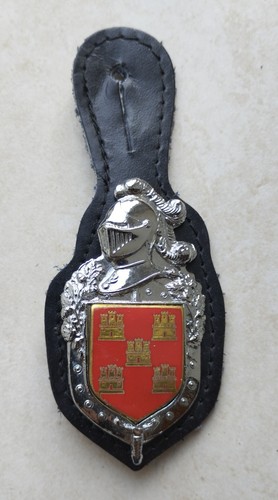 Insigne circonscription - insigne,