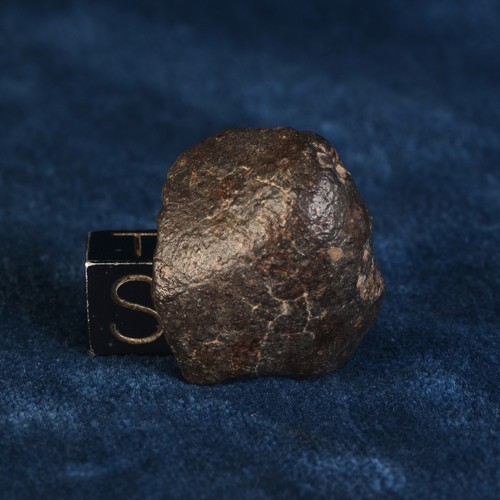 Météorite nwa 869 - 869, de