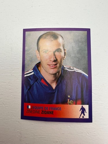 Vignette panini zinedine - panini,