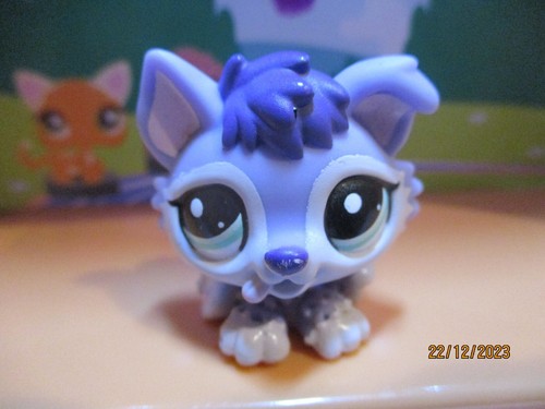 Petshop chiot husky - husky, #1810