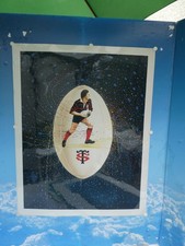 RUGBY STADE TOULOUSAIN