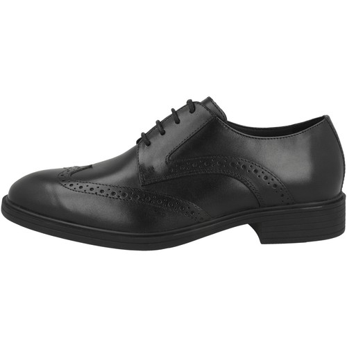 Geox thorian business - geox,