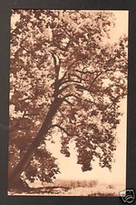 VAUCOULEURS (55) CHATEAU "SIRE