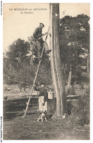 Bbsp1 0098 le - le, moulleau