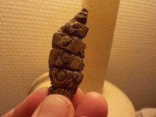 Paleolithic portable art