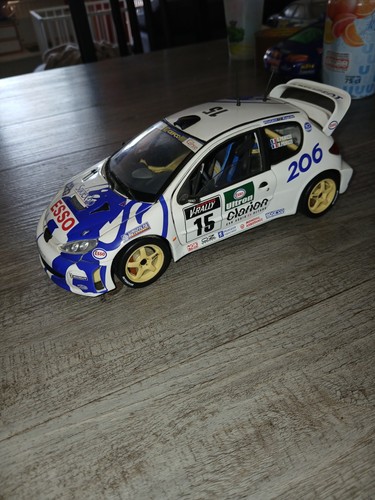 Peugeot 206 wrc - wrc, panizzi