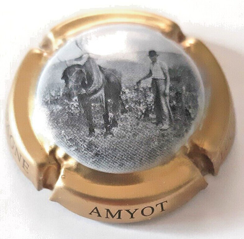 Capsule champagne amyot - de,