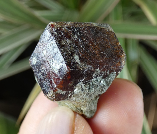 Grenat almandin rouge - grenat,