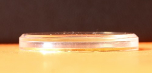Verre plexi neuf - plexi, bague